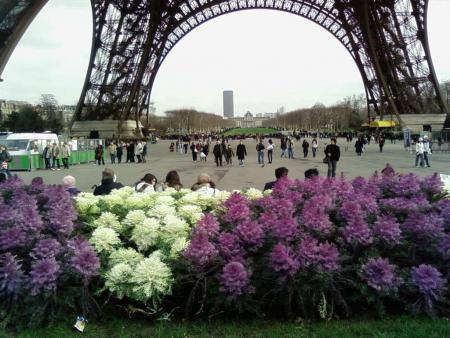 la tour effel